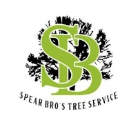 Spear Bro's Tree Service