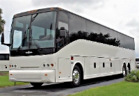 Elite Party Buses Rental