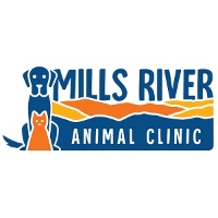 Mills River Animal Clinic