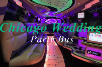 Chicago Wedding Party Bus