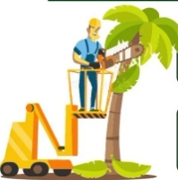 Tree Service Mountain View