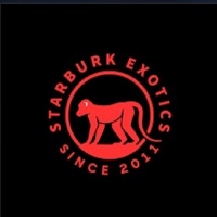 Starburk Exotics