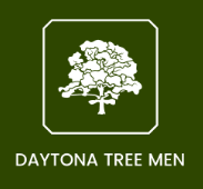 Daytona Tree Men