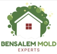 Mold Remediation Bensalem Experts