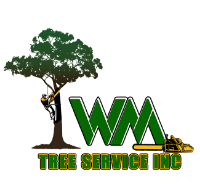 WM Tree Services