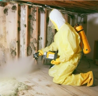 Mold Remediation Devon Solutions