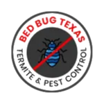 Bed Bug Texas