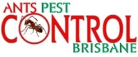 Ants Pest Control Brisbane