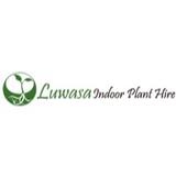 Luwasa Indoor Plant Hire