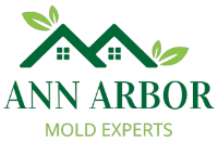 Ann Arbor Mold Remediation Solutions