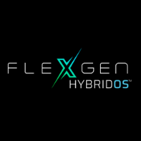 FlexGen