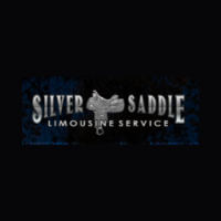 Silver Saddle Limousine