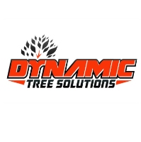 Dynamic Tree Solutions