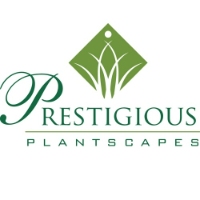 Prestigious Plantscapes