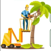 Novato Tree Service