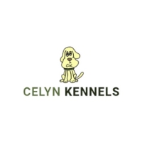 Celyn Kennels