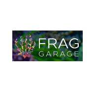 Frag Garage