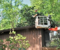 Complete Tree Service of Lebanon