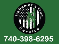 DeRemers tree service