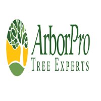 ArborPro Tree Experts