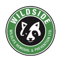 Wildside Wildlife Removal & Prevention Ltd.