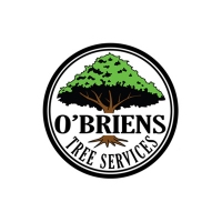 O’Briens Tree Services