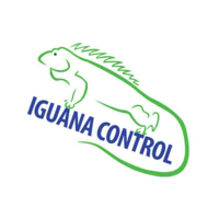 Iguana Control