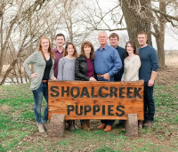 Shoal Creek Puppies