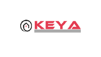 KEYA DIGITRONICS PVT LTD