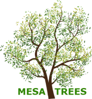 Mesa Trees