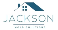 Mold Remediation Jackson MI Pros