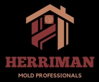 Mold Remediation Herriman Solutions