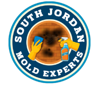 Mold Remediation South Jordan Experts