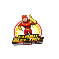 The Flash Electric