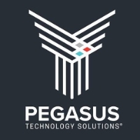 Pegasus Technology Solutions