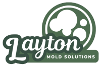 Mold Remediation Layton Experts