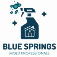 Blue Springs Mold Remediation Solutions