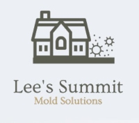 Mold Removal Lees Summit Solutions