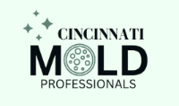 Mold Removal in Cincinnati Solutions