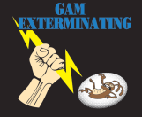 Gam Exterminating Copiague