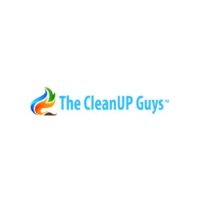 The CleanUP Guys