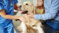 Black Mountain Animal Hospital | Your San Diego Veterinarian