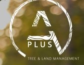 A Plus Tree Management