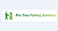 Pro Tree Felling Sandton