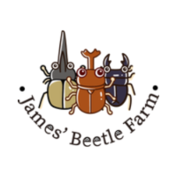 James'  Beetle Farm