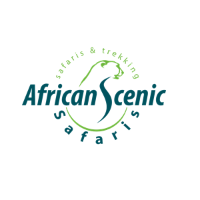 African Scenic Safaris