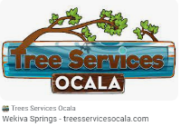 Tree Services Ocala