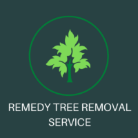 Remedy Tree Removal Service