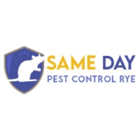 Same Day Pest Control Rye