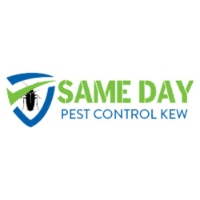 Same Day Pest Control Kew